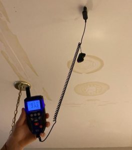 Mold detection tools can help you identify molds growing in your house