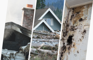 Examples of fire and smoke damage to homes in South Carolina