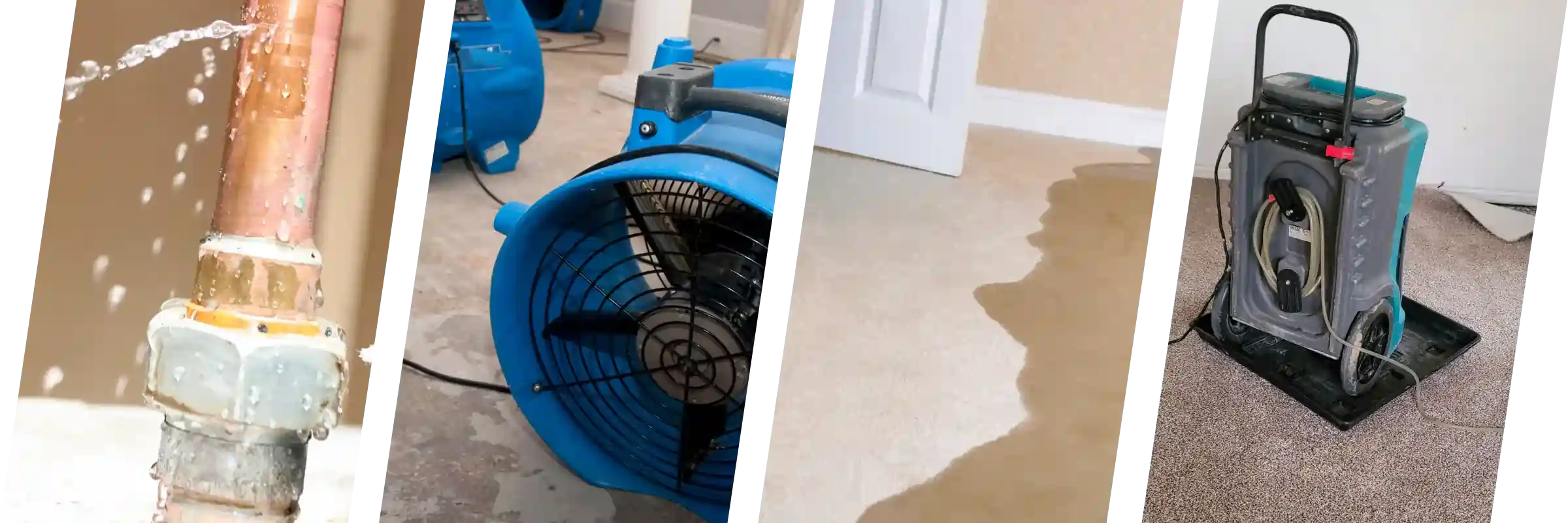 Rehab Restoration | Home