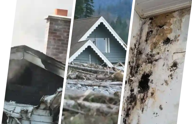 Rehab Restoration | Home