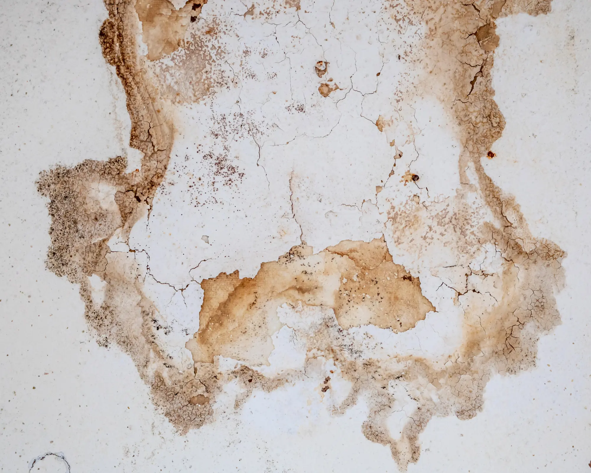Rehab Restoration | Water Damage Restoration in Greer SC
