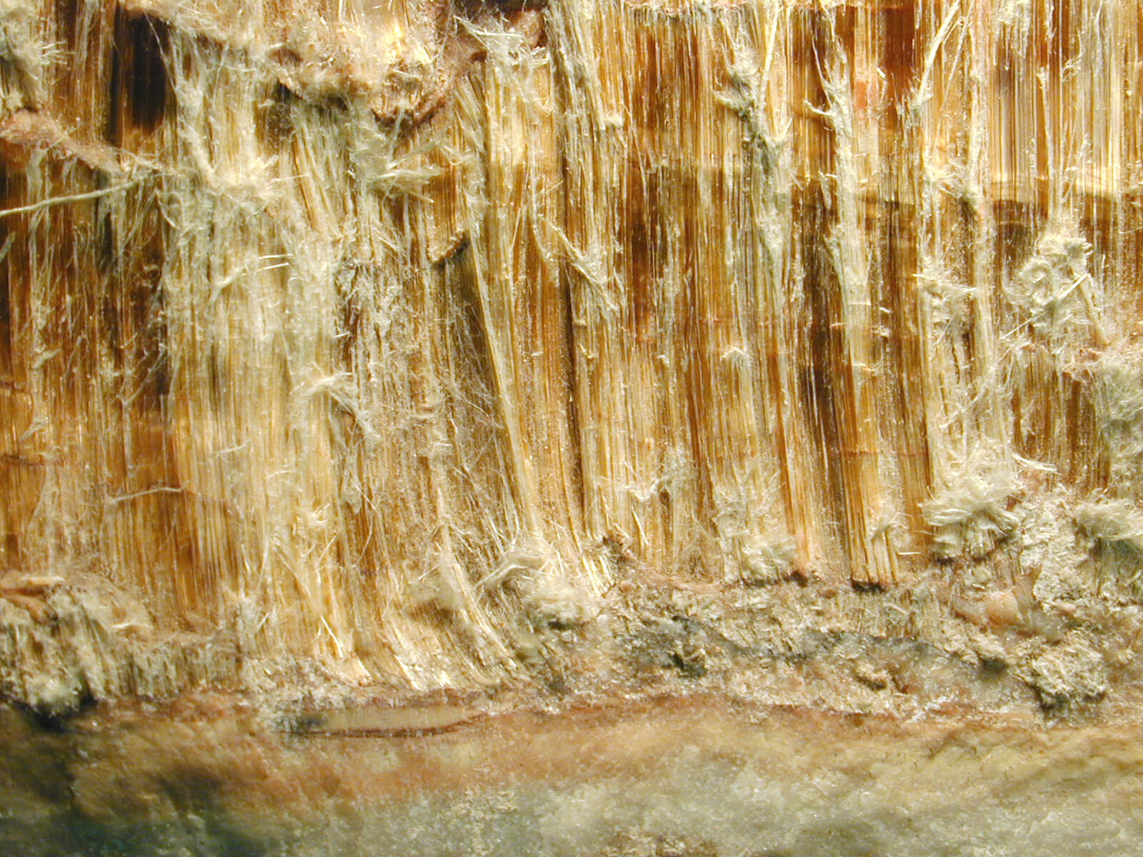 Rehab Restoration | Asbestos Removal in Greer, SC