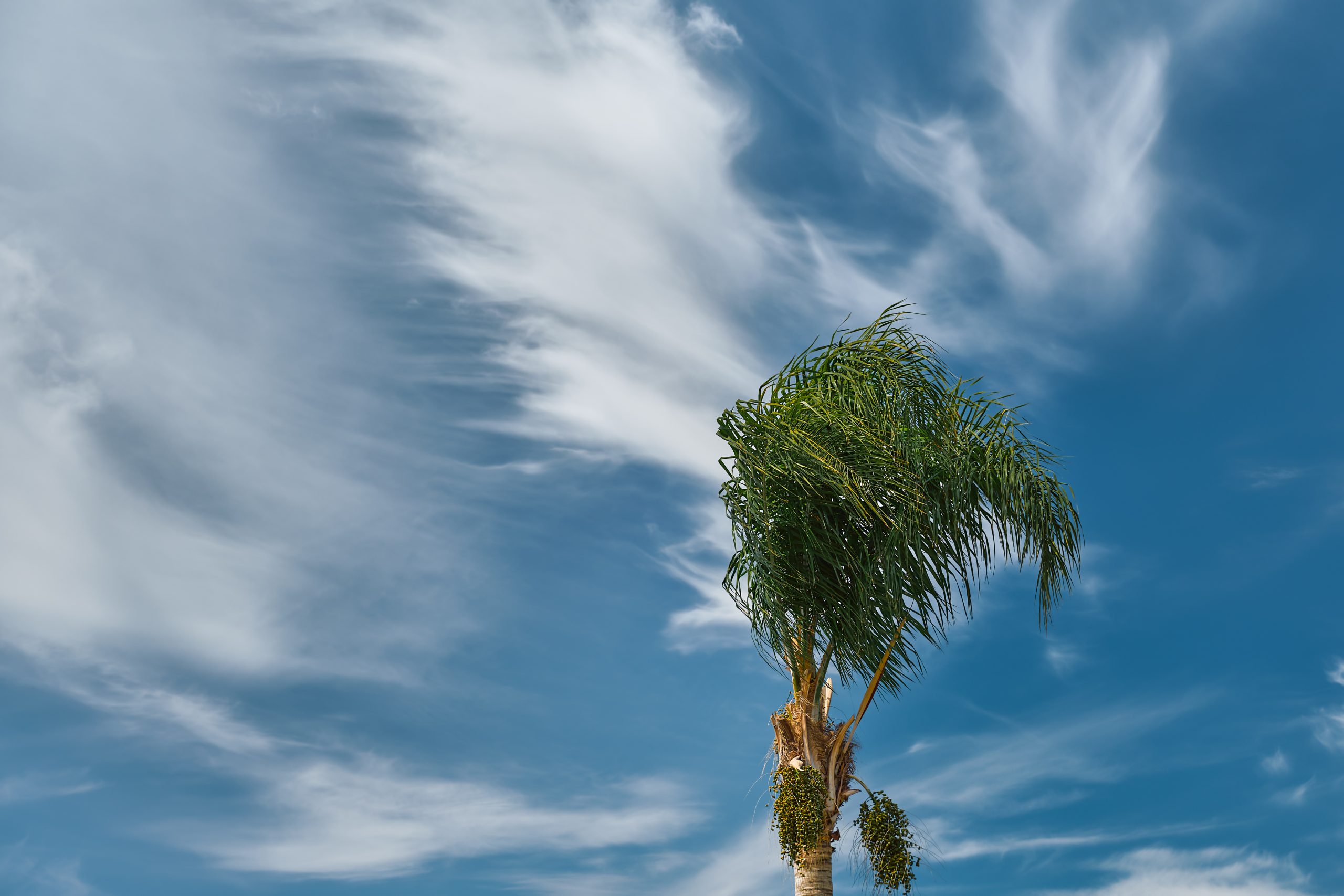 Rehab Restoration | Property Damage Restoration Services