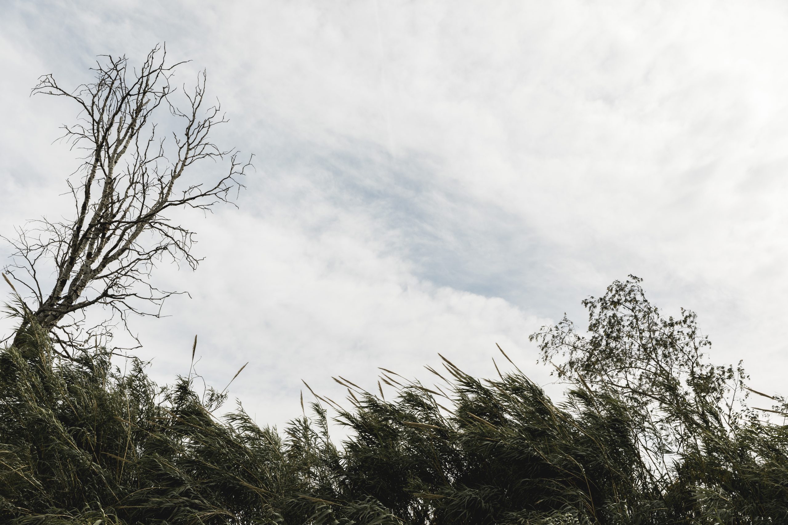 Rehab Restoration | Storm Damage Restoration in Greer, SC